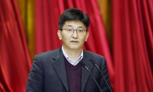 中海油阎洪涛在两会上建议大力推动岸电入海，将岸电动力平台作为海上支持中心