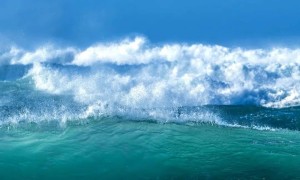 6月8日｜世界海洋日World Oceans Day 谈啥是海洋？