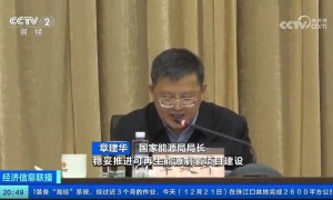 国家能源局长章建华表示推进可再生能源制氢建设。上海风电制氢会将交流