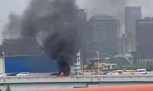 电动车在上海最高大桥上起火烧成壳。电池防火技术由国际船舶海工网主办交流