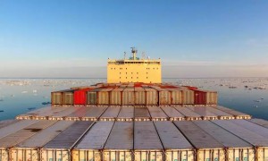 中国新新海运计划向北极航线再投入8～10艘集装箱船