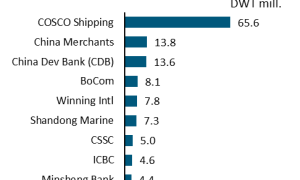 中国前10名最大船东中5家是金融机构